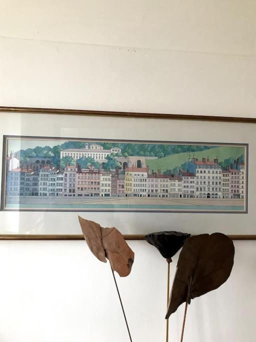 Vue Sur L'Eau Apartment Lyon Bagian luar foto